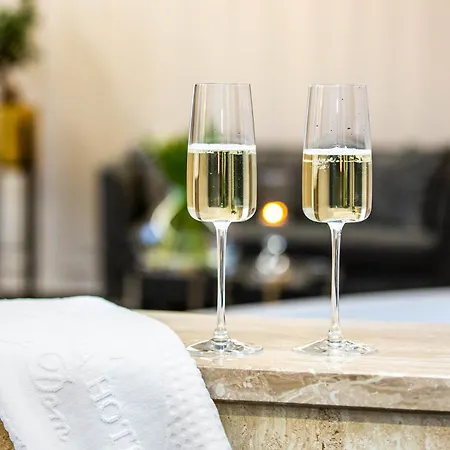 Hotel Bialy Dom Czerwionka